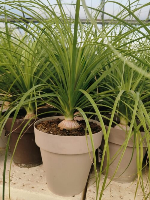 Imagen De Whatsapp 2025 10 06 A Las 17.53.56 530a29b0