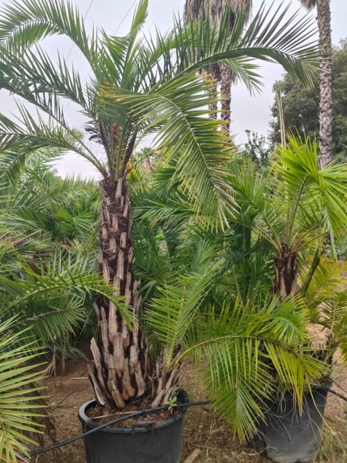 Imagen De Whatsapp 2025 10 06 A Las 17.54.18 F56692ea