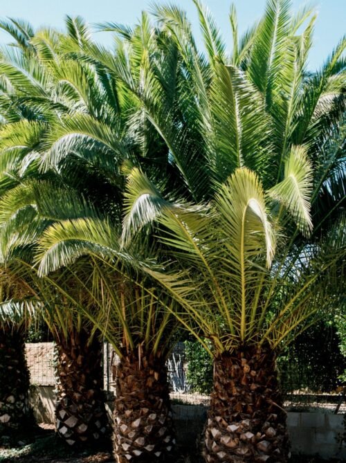 Imagen De Whatsapp 2025 10 06 A Las 17.54.31 552618a2