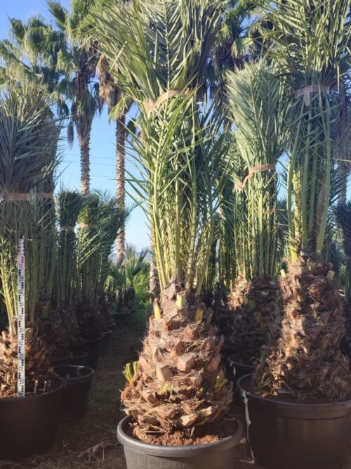 Imagen De Whatsapp 2025 10 06 A Las 17.54.49 E44a7af5