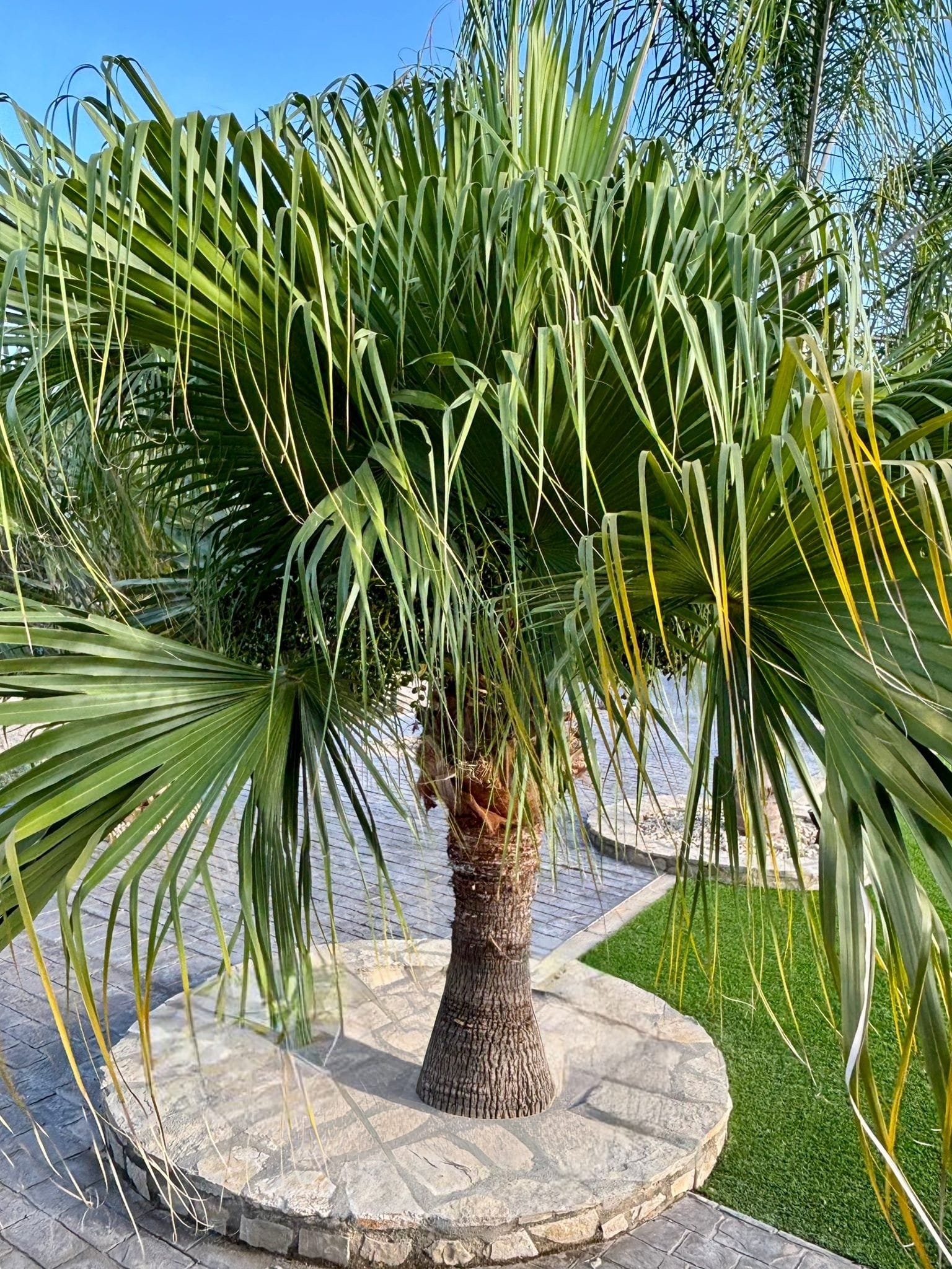 Imagen De Whatsapp 2025 10 07 A Las 00.42.18 4e45d484