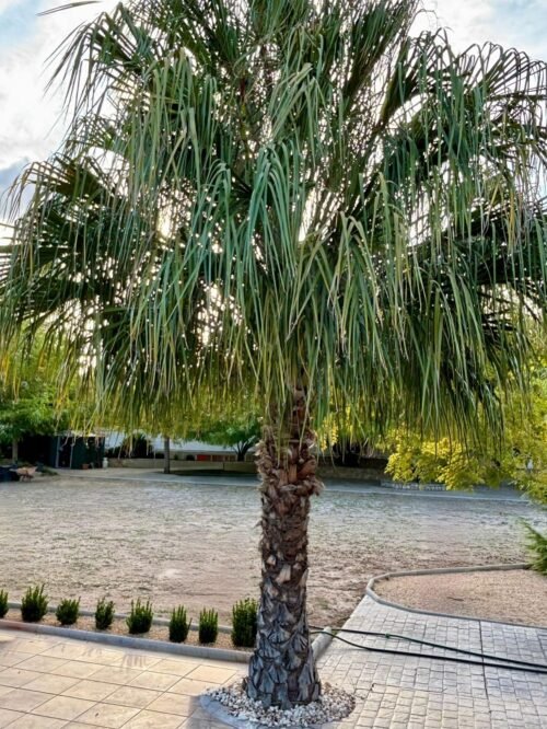 Imagen De Whatsapp 2025 10 07 A Las 00.42.31 B14d8f7d