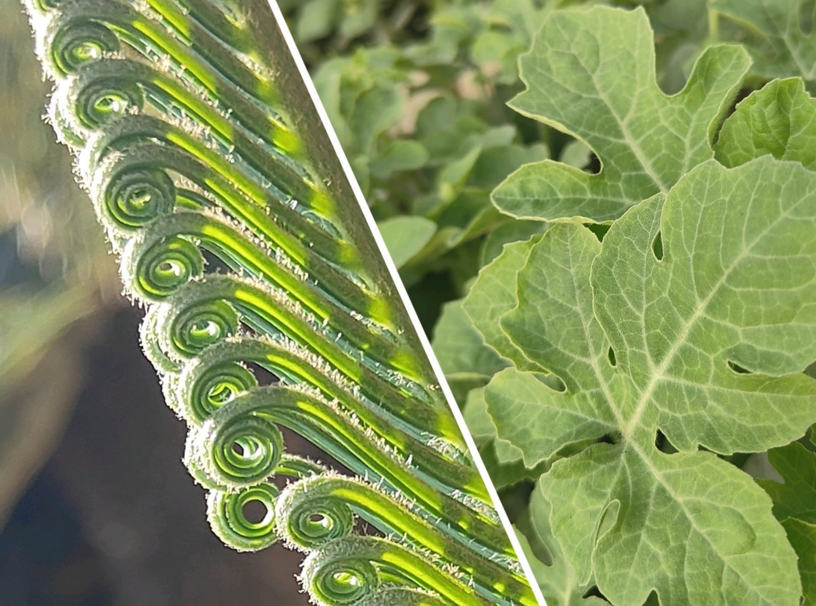 Imagen De Whatsapp 2025 10 10 A Las 23.35.52 19a53231cut