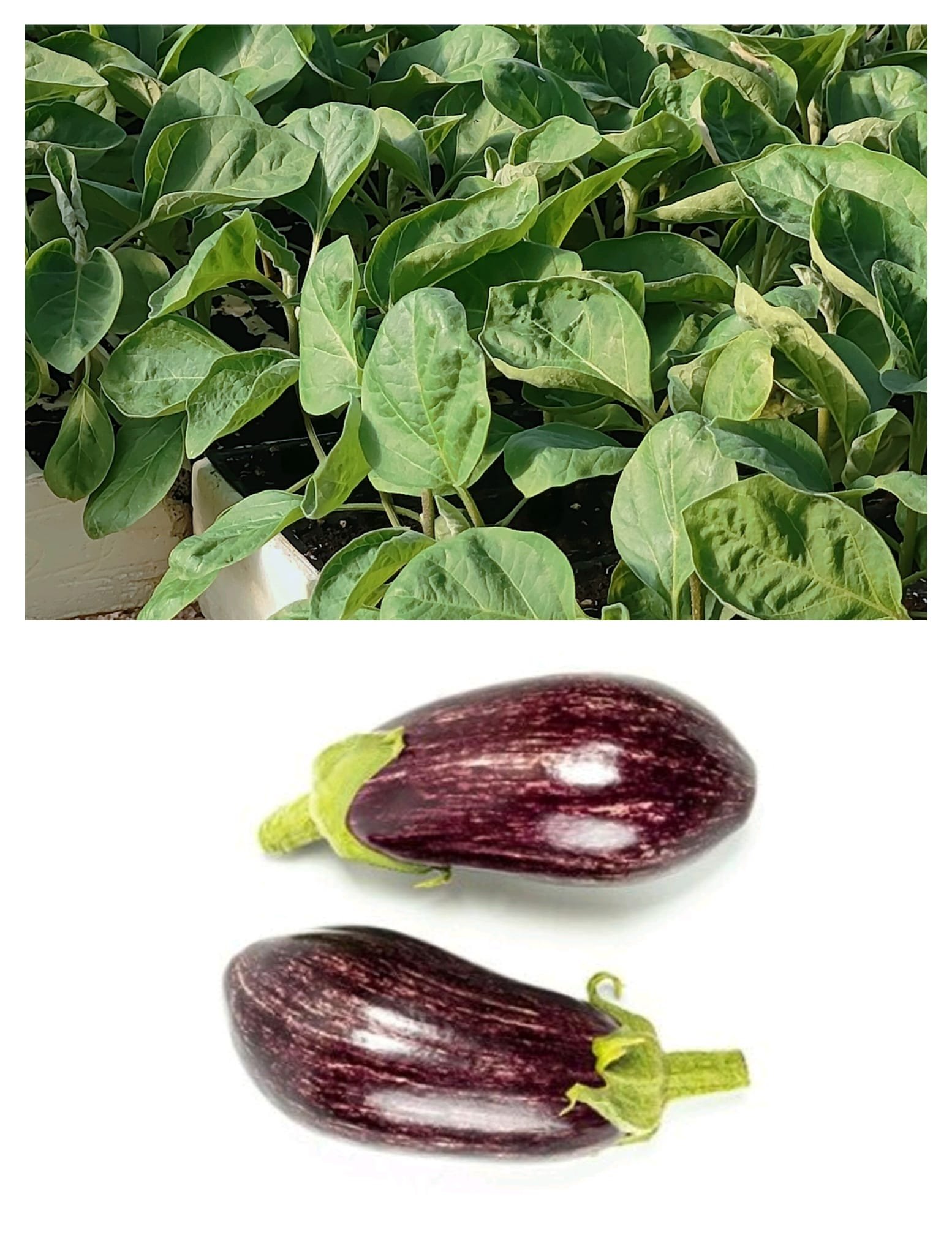 Imagen De Whatsapp 2025 10 15 A Las 16.54.21 292aaad6